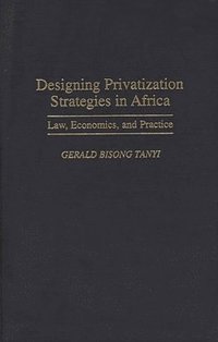 bokomslag Designing Privatization Strategies in Africa