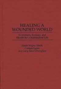 bokomslag Healing a Wounded World