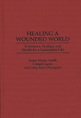 bokomslag Healing a Wounded World