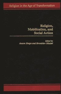 bokomslag Religion, Mobilization, and Social Action