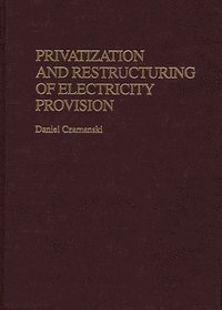 bokomslag Privatization and Restructuring of Electricity Provision