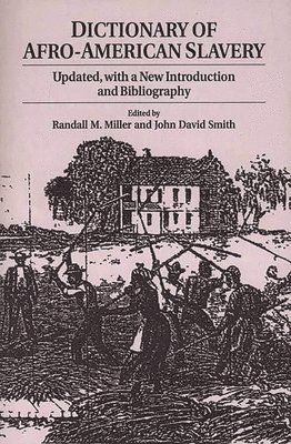 bokomslag Dictionary of Afro-American Slavery