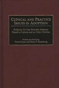 bokomslag Clinical and Practice Issues in Adoption