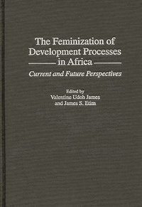 bokomslag The Feminization of Development Processes in Africa