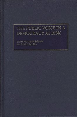 The Public Voice in a Democracy at Risk 1
