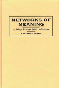 bokomslag Networks of Meaning