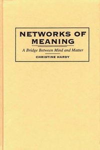 bokomslag Networks of Meaning