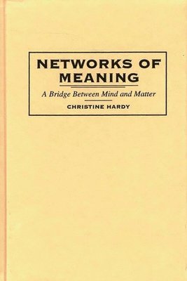 bokomslag Networks of Meaning
