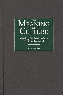 bokomslag Meaning of Culture