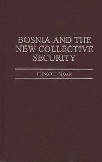 bokomslag Bosnia and the New Collective Security