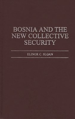 bokomslag Bosnia and the New Collective Security