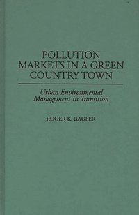 bokomslag Pollution Markets in a Green Country Town