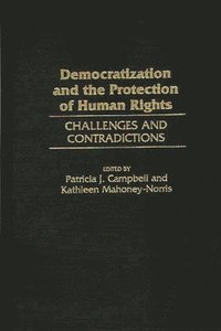 bokomslag Democratization and the Protection of Human Rights