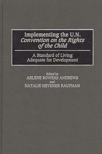 bokomslag Implementing the UN Convention on the Rights of the Child