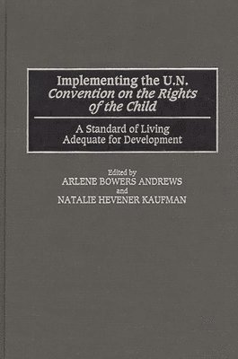 Arlene B. Andrews, Natalie Kaufman, Arlene Bowers Andrews, Natalie Hevener Kaufman - Implementing the UN Convention on the Rights of the Child, Inbunden
