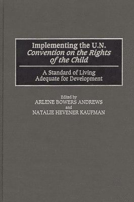 bokomslag Implementing the UN Convention on the Rights of the Child