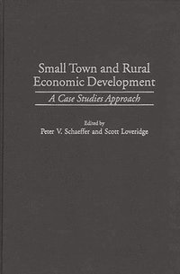 bokomslag Small Town and Rural Economic Development