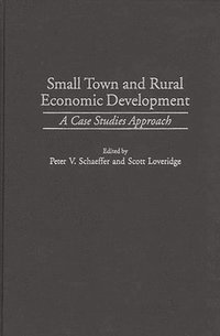 bokomslag Small Town and Rural Economic Development