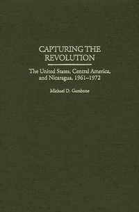 bokomslag Capturing the Revolution