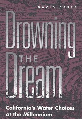 Drowning the Dream 1