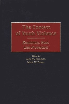 bokomslag Context of Youth Violence