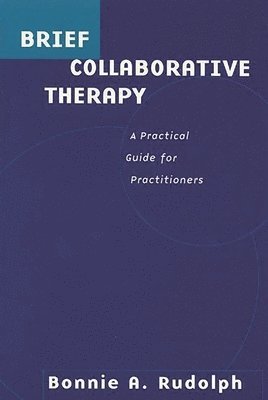 bokomslag Brief Collaborative Therapy