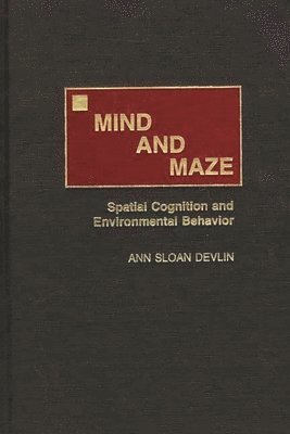 Mind and Maze 1