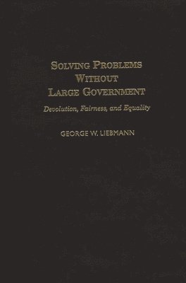 bokomslag Solving Problems Without Large Government