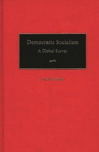 bokomslag Democratic Socialism