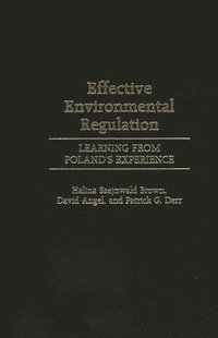 bokomslag Effective Environmental Regulation