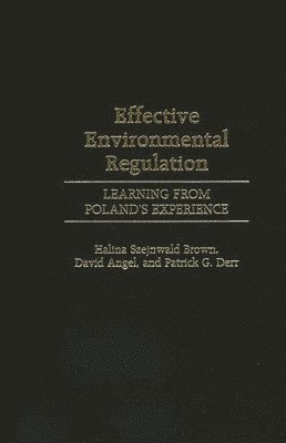 bokomslag Effective Environmental Regulation