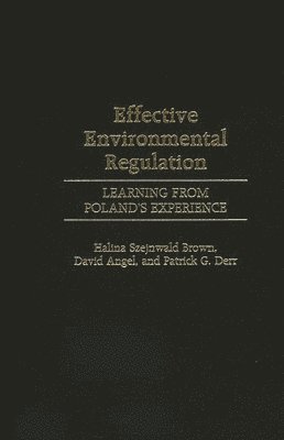 Effective Environmental Regulation 1