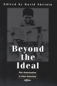 bokomslag Beyond the Ideal