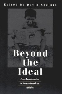 bokomslag Beyond the Ideal