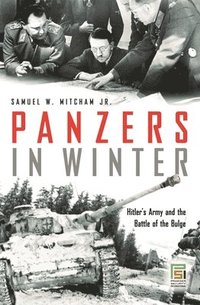 bokomslag Panzers in Winter