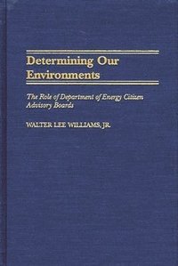 bokomslag Determining Our Environments