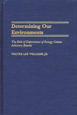 bokomslag Determining Our Environments