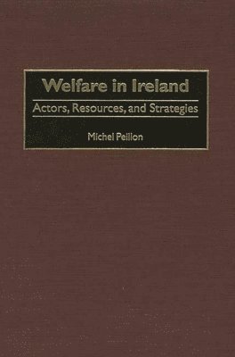 bokomslag Welfare in Ireland