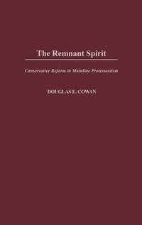 bokomslag The Remnant Spirit