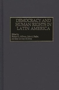 bokomslag Democracy and Human Rights in Latin America