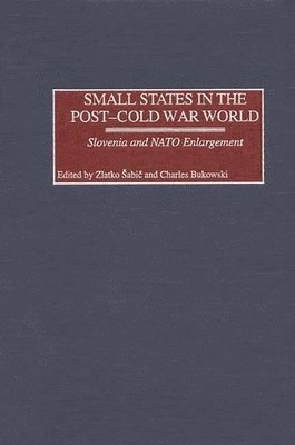 bokomslag Small States in the Post-Cold War World