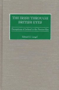 bokomslag The Irish through British Eyes