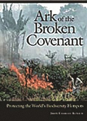 bokomslag Ark of the Broken Covenant