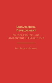 bokomslag Endangering Development