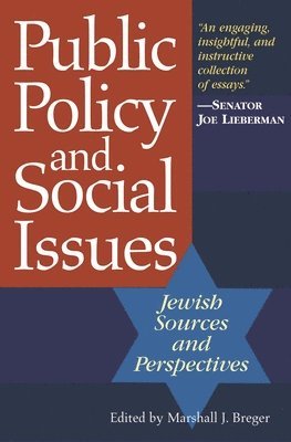 bokomslag Public Policy and Social Issues