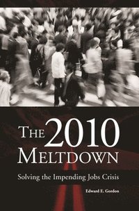 bokomslag The 2010 Meltdown