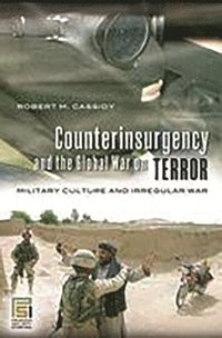 bokomslag Counterinsurgency and the Global War on Terror