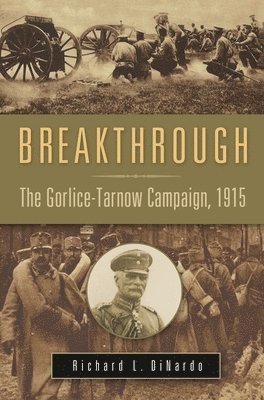 Richard L. DiNardo - Breakthrough, Inbunden