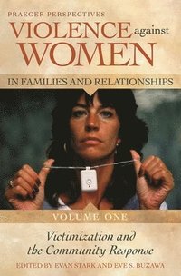bokomslag Violence against Women in Families and Relationships