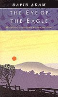 Eye of the Eagle